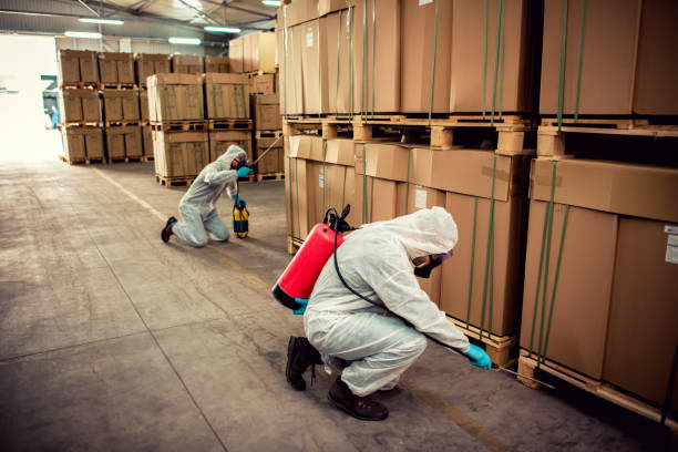 Best Ant Control Services  in Redfield, SD