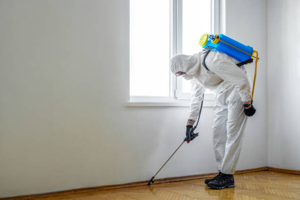 Best Best Pest Control Companies  in Redfield, SD