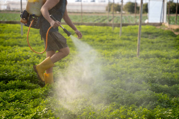 Best Pest Removal Services  in Redfield, SD