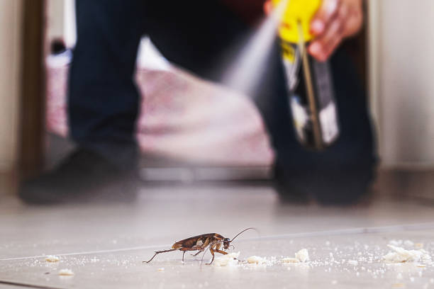 Best Mosquito Control Services  in Redfield, SD
