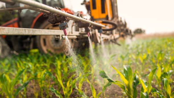 Professional Pest Control in Redfield, SD