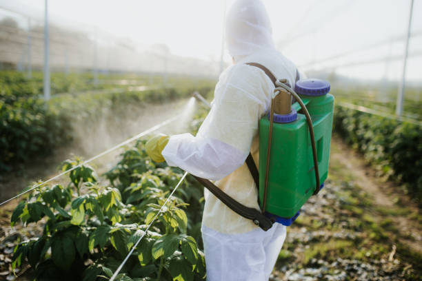 Best Wasp Removal Services  in Redfield, SD